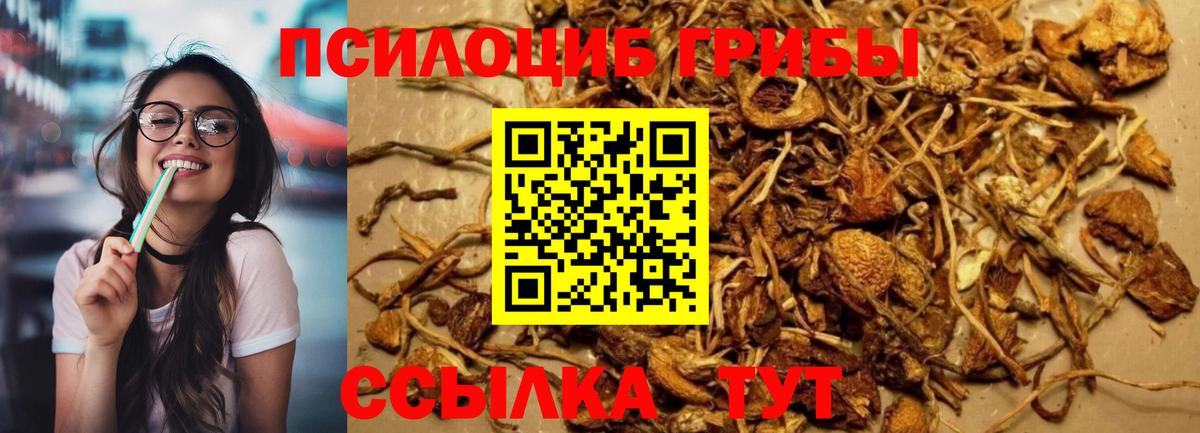 Галлюциногенные грибы Magic Shrooms  где можно купить наркотик  Рассказово  Вход с VPN 